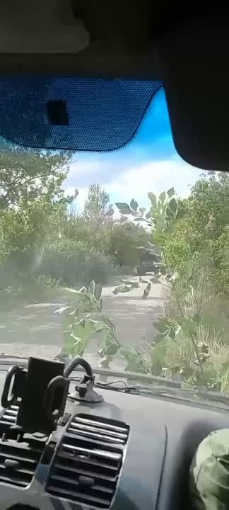 ���� �������: ������ ��� ��������� � �������� ������������ �������� � ������� ������� �������