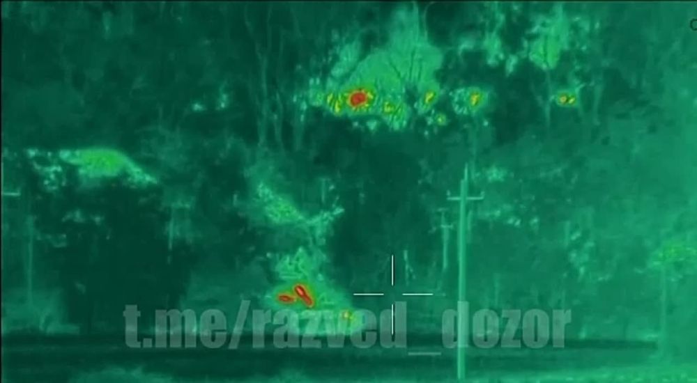 ����� ���� �� ����. ���� ������ ��� �� ������� ���� �������� �� ����������. ���� �� ������ ���������!