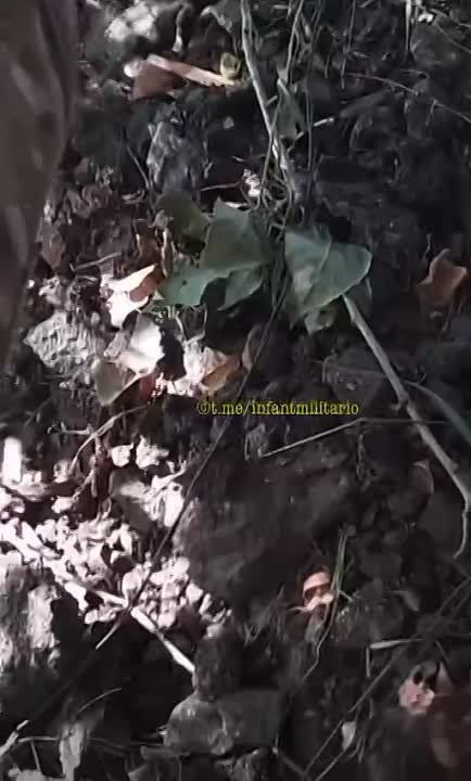 ��� ��� ��������� �� ������� ���. ���� �� ���������, � ���������� ������� ����������� �����