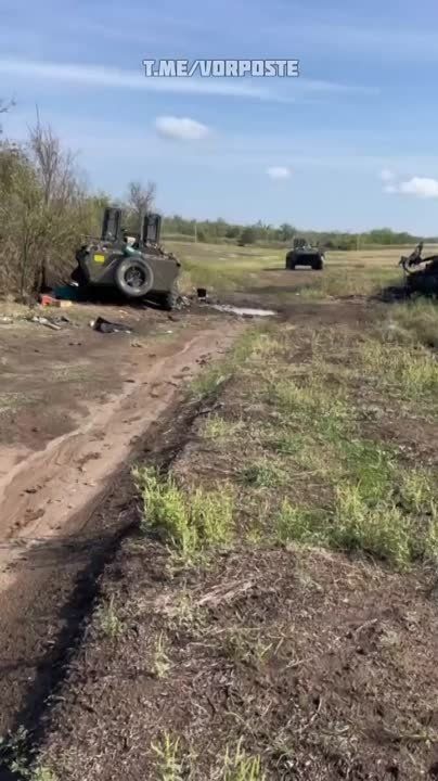 ������� �������� ����������������� ��� � ����������� �������