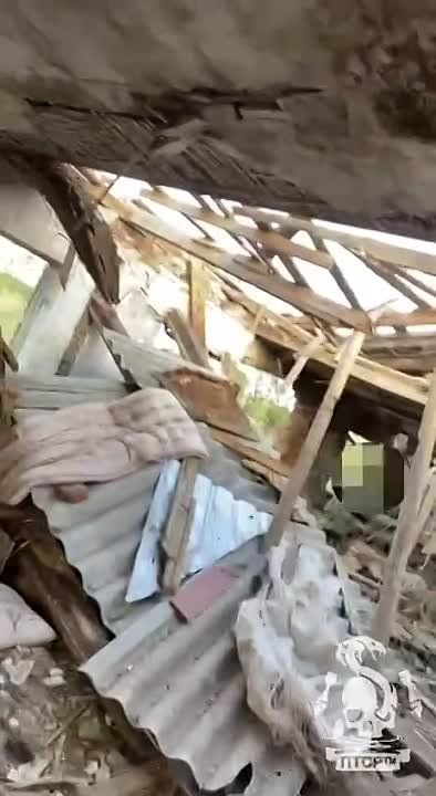 ���� �� ����� � ������, �������� ����� ��� ��������� �������� ����� ���������� ���������� ������ ��� ������������ ����