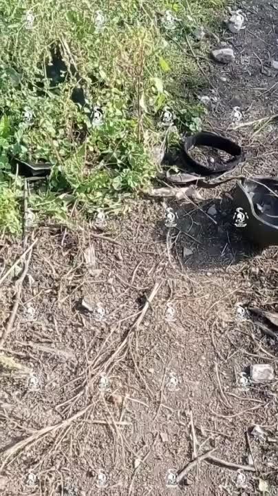 ���������� ������� ������� ������� "���" ��� � ����������� �������