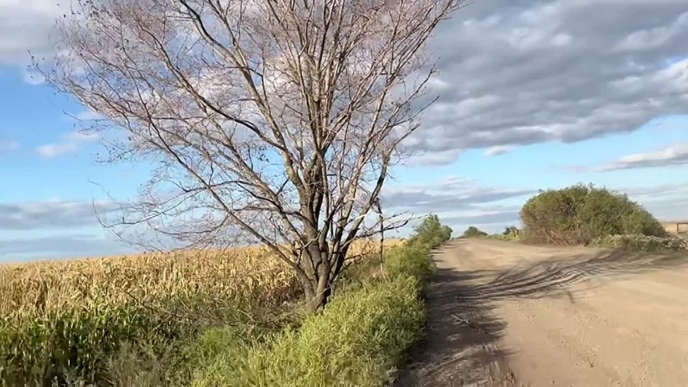 ���������� ������� � ���� ����������� � ����������� �������, ������ ������ �������� ������� ������� ������������ ������������, ��������� ������������� ��������������� Bushmaster