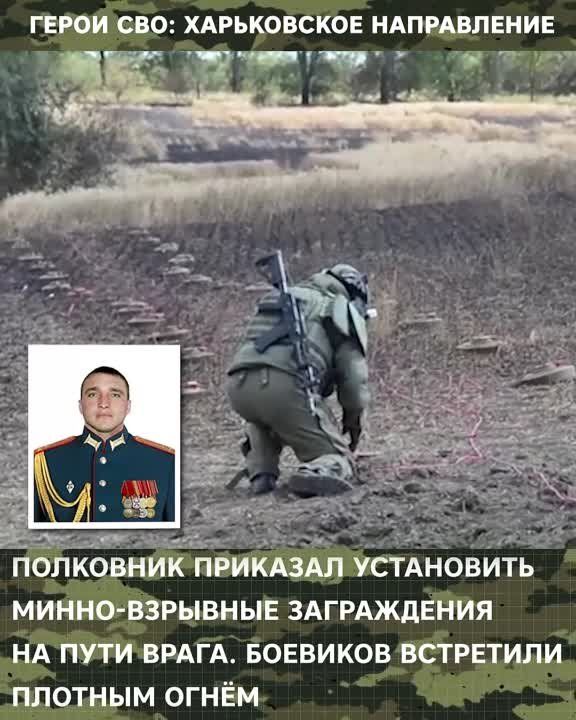 ����� ���: ����������� �����������