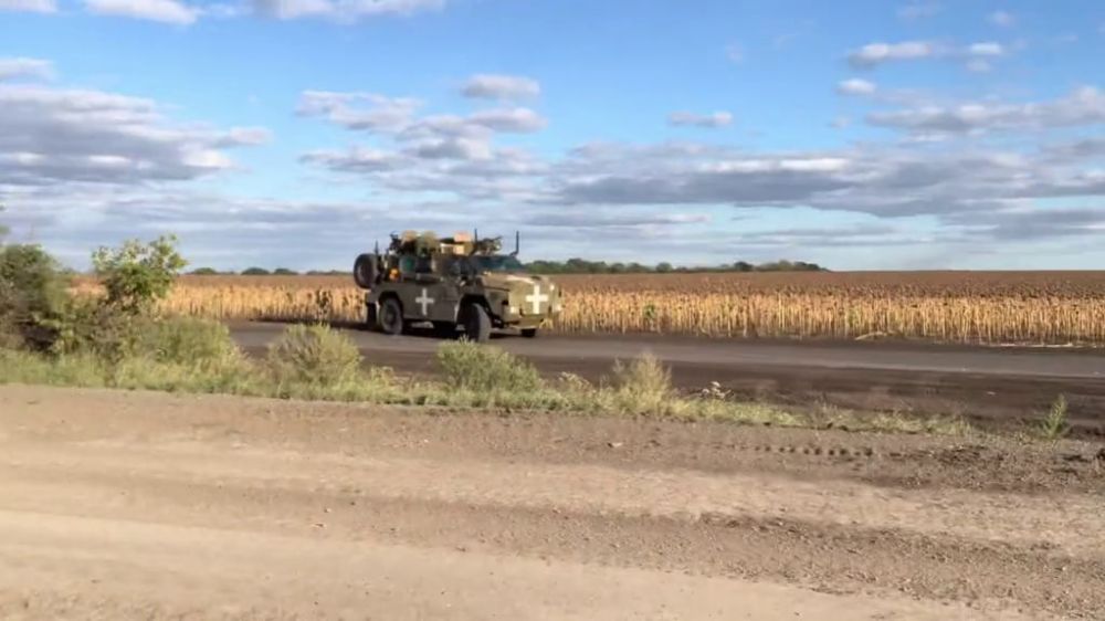 ��� ������������ ����������������� Bushmaster � ����������� � ����������� �������