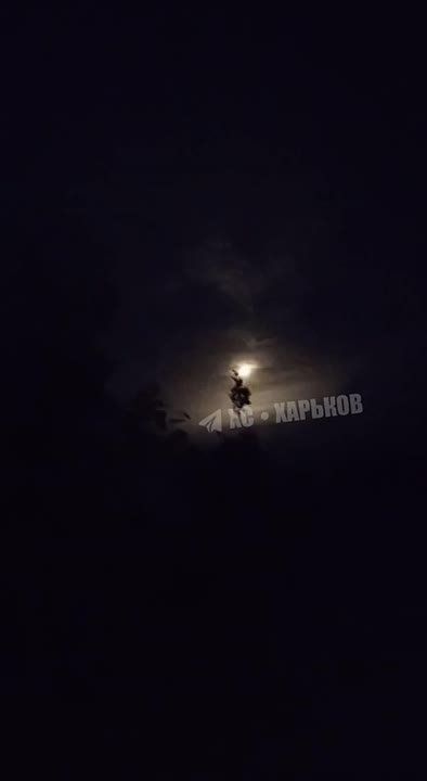 ����� ������ ������� ������������� ���� �� ����� � �������� � �������