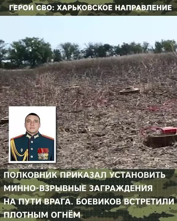 ����� ���: ����������� �����������