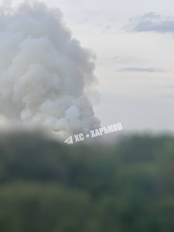 �� �������� �������� ��������� �������� �����