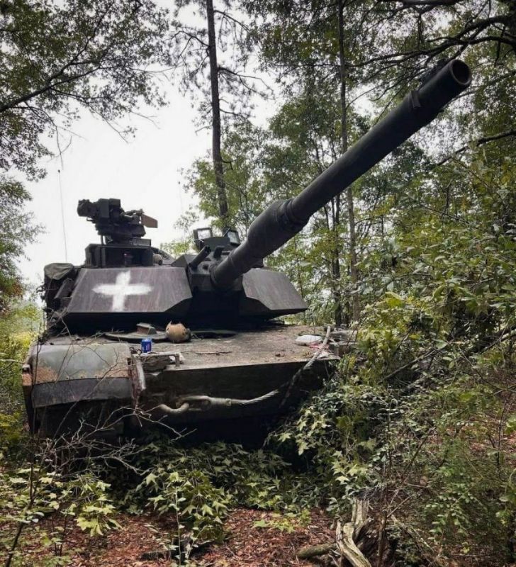 ����� �����: � ���������� � �������� �������� ��������� ������� ���������������� ���������� ������������� ����� "������" � ����������� ����� ������� ����������� ���, ����������� �� ����������� �����������, � �������� ��������������� �����