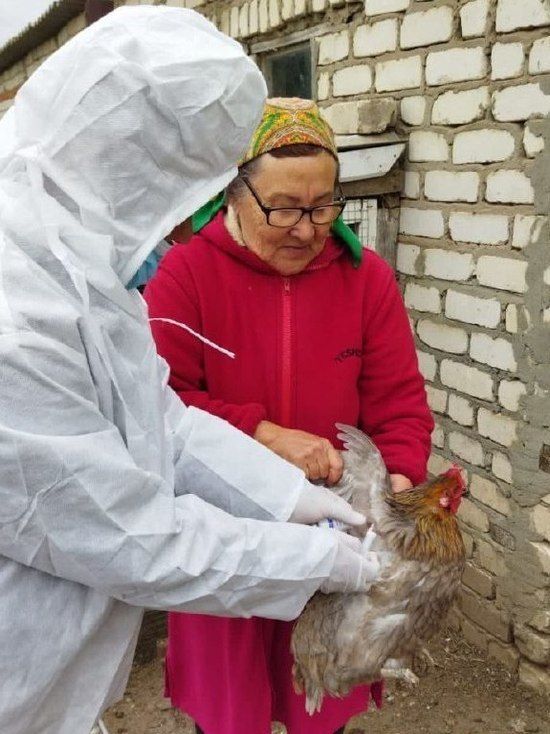 ��� ��������� �������� ���������� ����� �� ��������