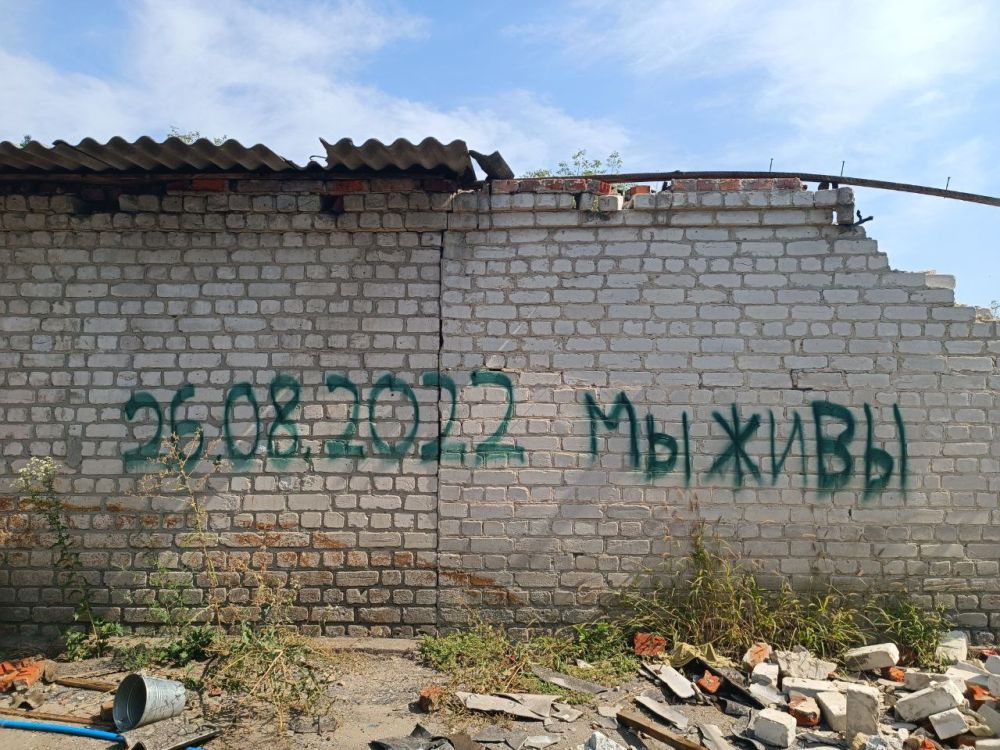 ���� ���������: ����. ��������. ��� ������������