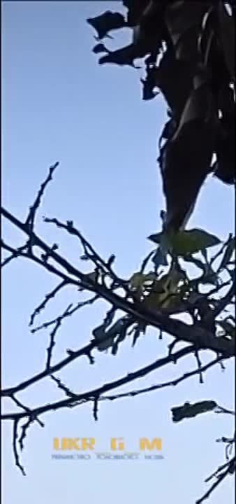 ���������� ������� ������� ���� � ����������� �������