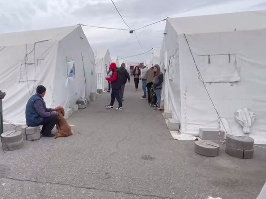 ����� ����������� ����������, ���������� ���������� �������, ������ � ������������ �������