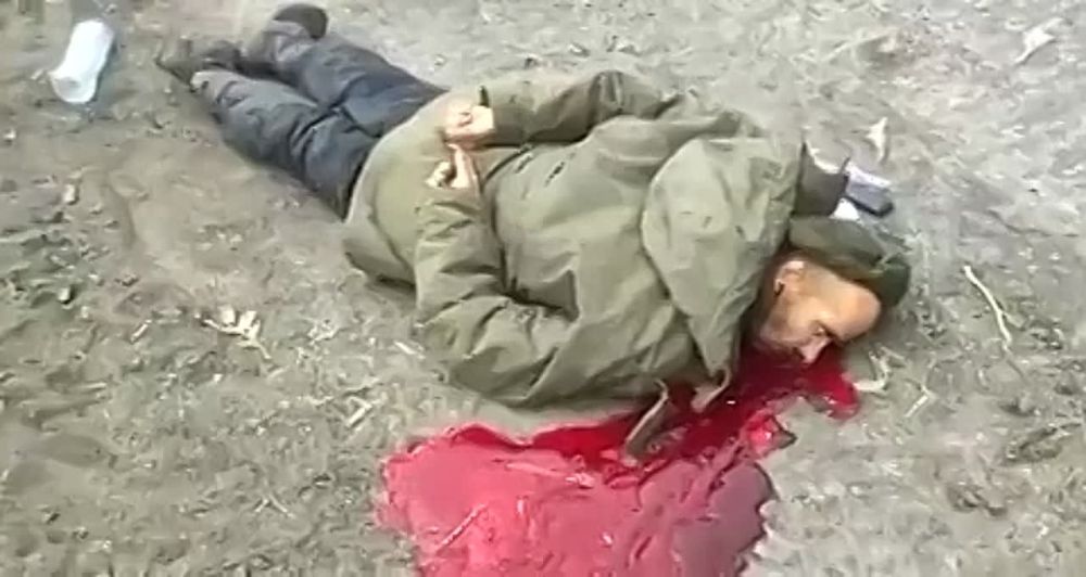 18+ �������. � ������������ � ����� �����, ��� �� �������������� � ���������� ������ ���������� � ������ ���������� ���� ������ �������