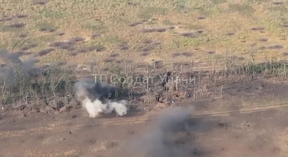 ���� �� ����������� �����������