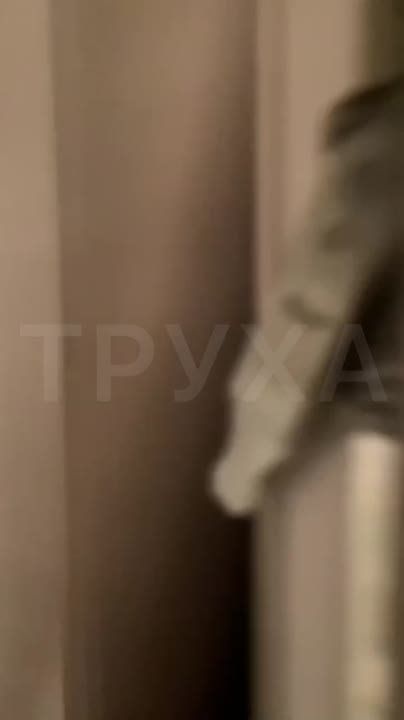 �������. ����������.