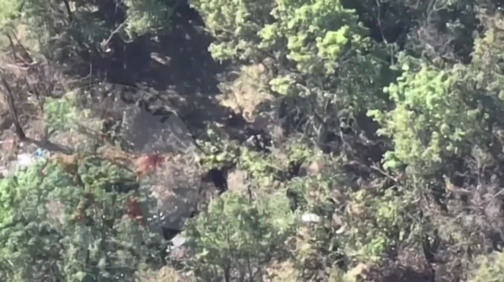 ������� ��������: ������ ��������� �������� ���������� �����������