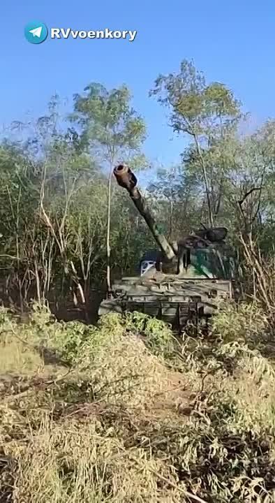 ���� ����� ���������� � ������� � �������: ����� "�������" �������� �������� ������� � ��� � ����������