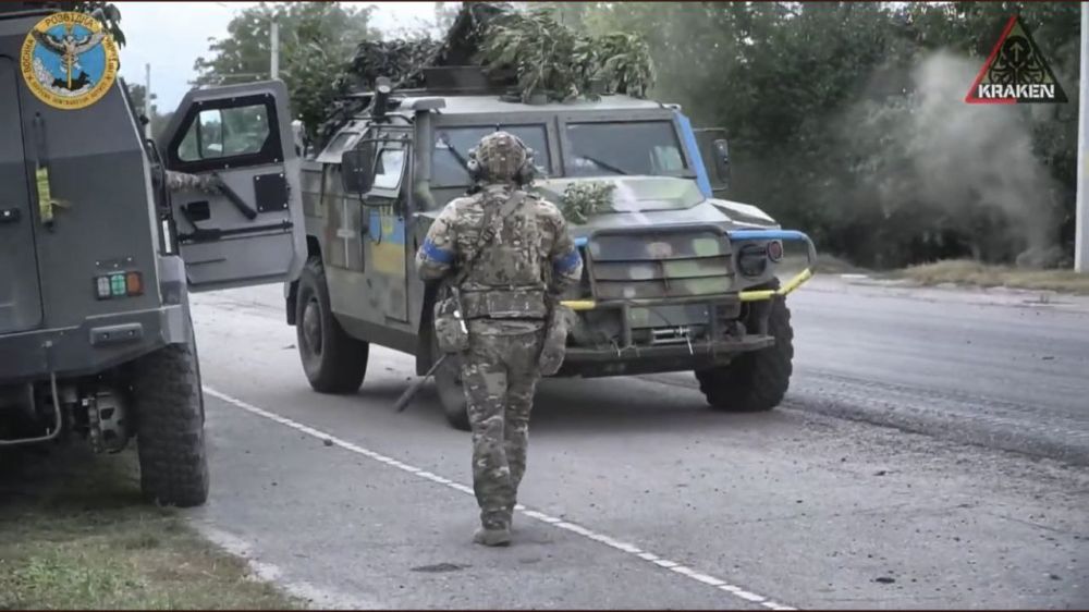 ��������� ��������������� ���-233115 �����-� ��ͻ �� ���������� ����������� ������������� ��������