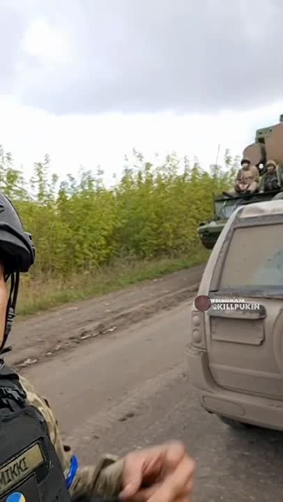 ��� ���� � ��� �Gepard� ���������� ��� ������� � ����������� �������