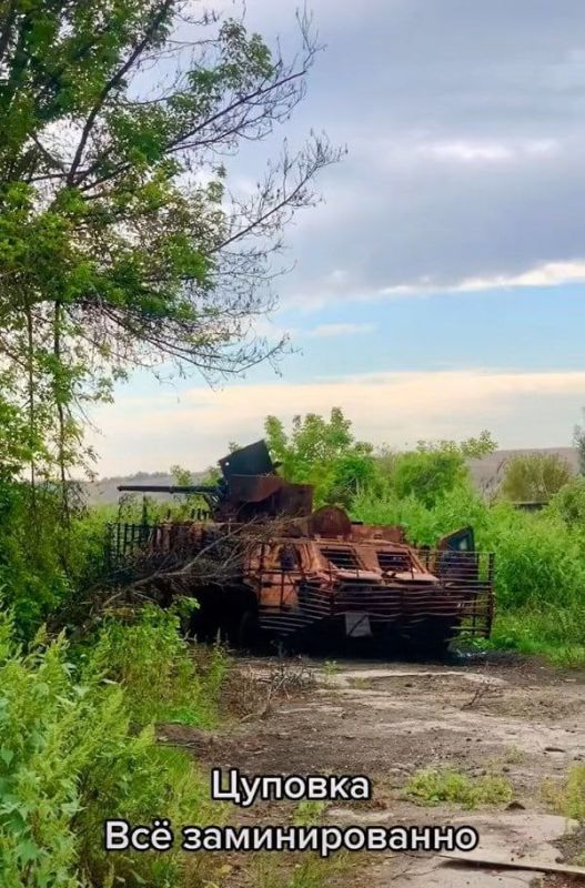 �������� ���������������� ���-4� ��� � ���� ������� � ����������� �������