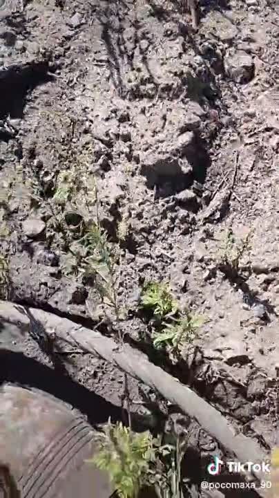 ������������ ���������� ���������� 120-�� ������� �����-8��ʻ � ���� ������� ��������� ������ ����������� �������