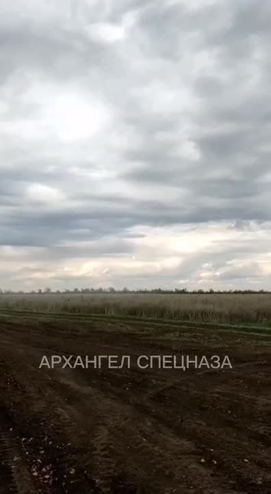 ���� ����� ����� ���������� �������� ����� �� ����������� �����������