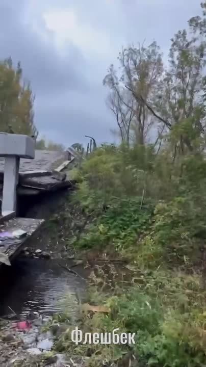 � ��-������ "������ ��������� ���������� Z.O.V." ����������, ��� ��������� ��� ����������� ����� ����������� ����� ����� � ������ ����������� ����� ����� ���� ������� ����� ������ �������� � ������� ��������� ������