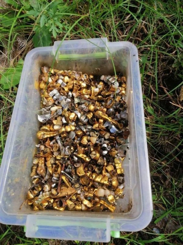 ����� Telegram-������ �� ���������� @ia_steklomoy