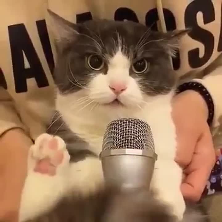 ������� ��������: ������� ������.