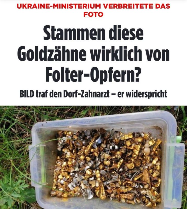 �������������� �� ��� ������� ���� ����������� ������� �����?�: �� ���������� ������ � ��������� ������ ���� �������� Bild, �������� ����������� ���� �� ����� �������