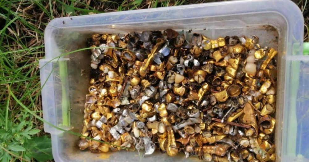 Bild ����������� ���������� ���� � ������ � ���������� ������