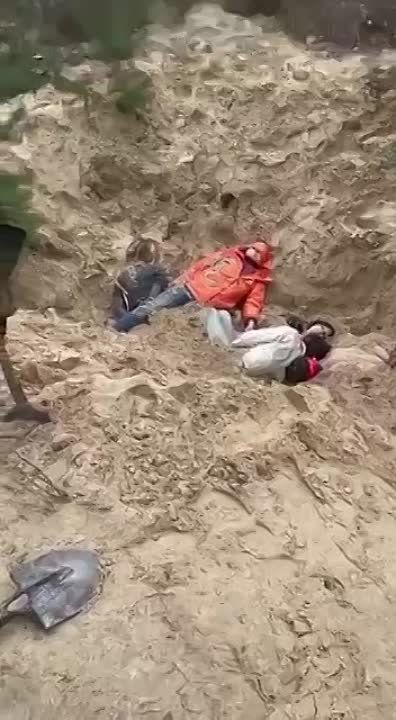 ������ �������� ������ ����������� � ���� ����� �������� ��� ������� �������� ��������, ������� ��������� ��� ���������� ���