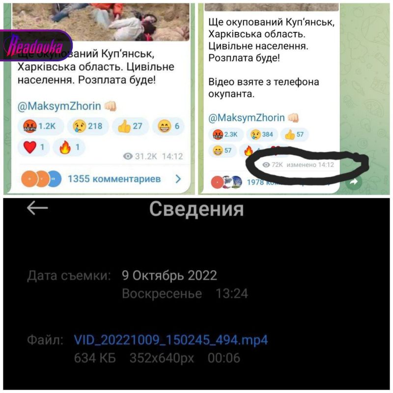  :  ,        -  ,       