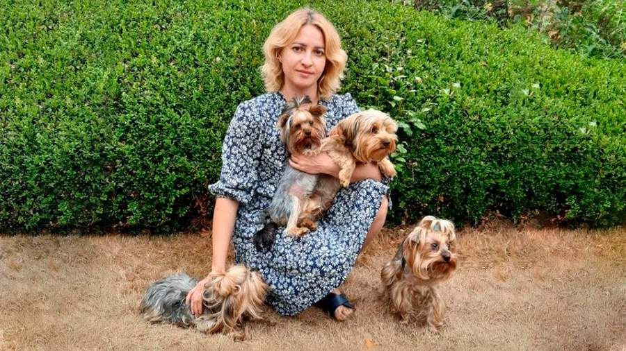 ���������� ������� � �������� ���������� ������� �� ���������� �� ����� � ��������