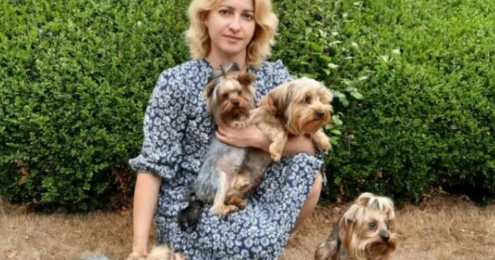 ���������� ������� � �������� ���������� ������� �� ���������� �� ����