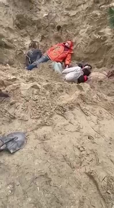  : 18+  ,    ,    