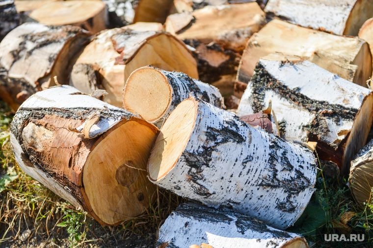 ������ ������� ������� ����� � �����-�������� �� 15 ��� ��������