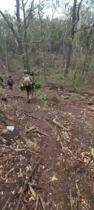 ���� ���������: �� ����� ���� ����. �����. ���