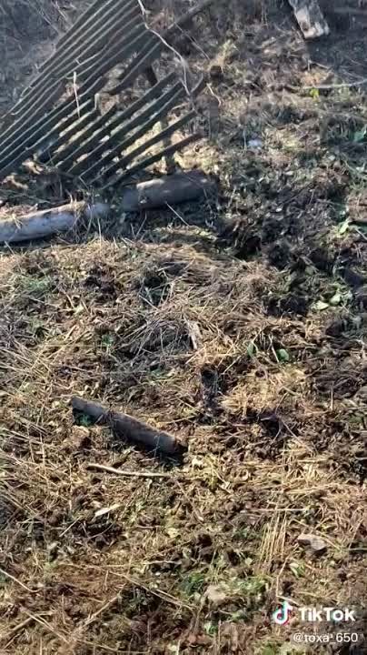 ��������� �������� ���������������� ���-4� ��� � ����������� �������