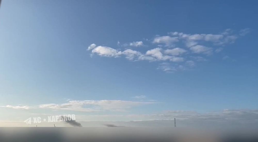 ����� �����: � �������� ��������� ��������� �� �������� ��������������