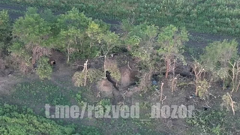 ������ �� ������� �������� ��� � ���������� ����������� ������� �� ������������� 1�� �������� �����������