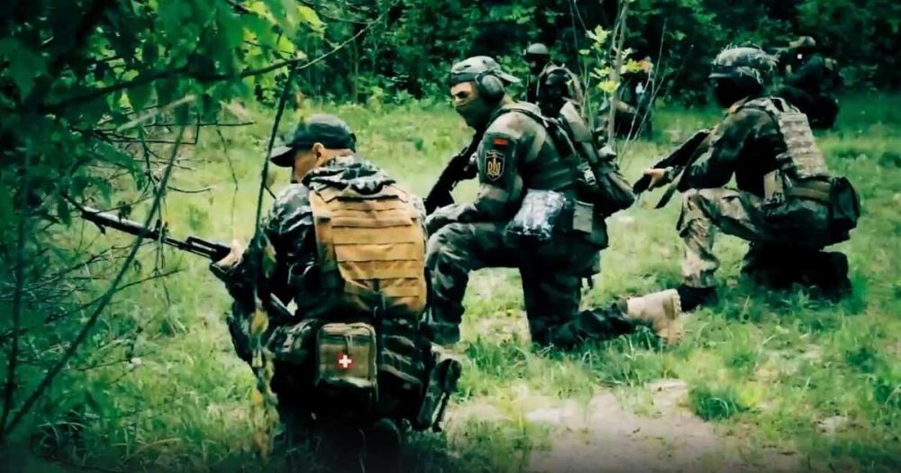 ������ �� ����� ����: ��� �������� ��������� ��� �������