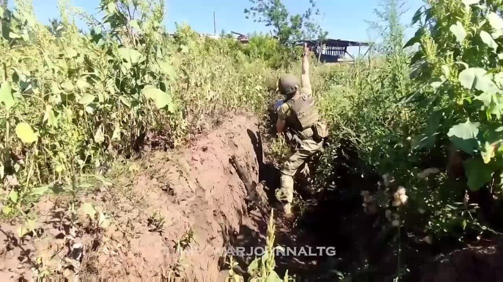 ������� ��������� ����������� �� �� �������� ������ ��� � ����������� �������