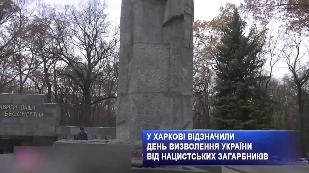 �������. 365 ���� �����