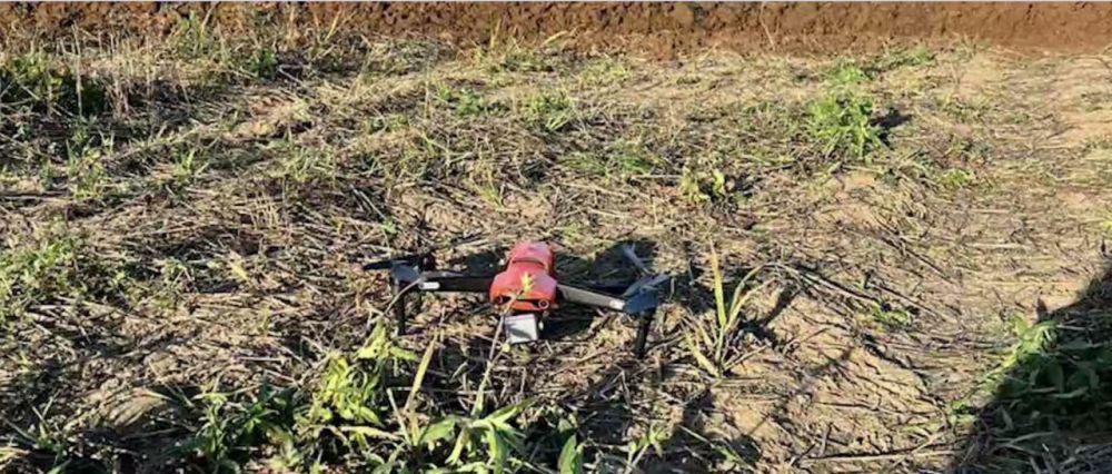 Сегодня стало известно о вопиющей провокации нацистов против Белоруссии