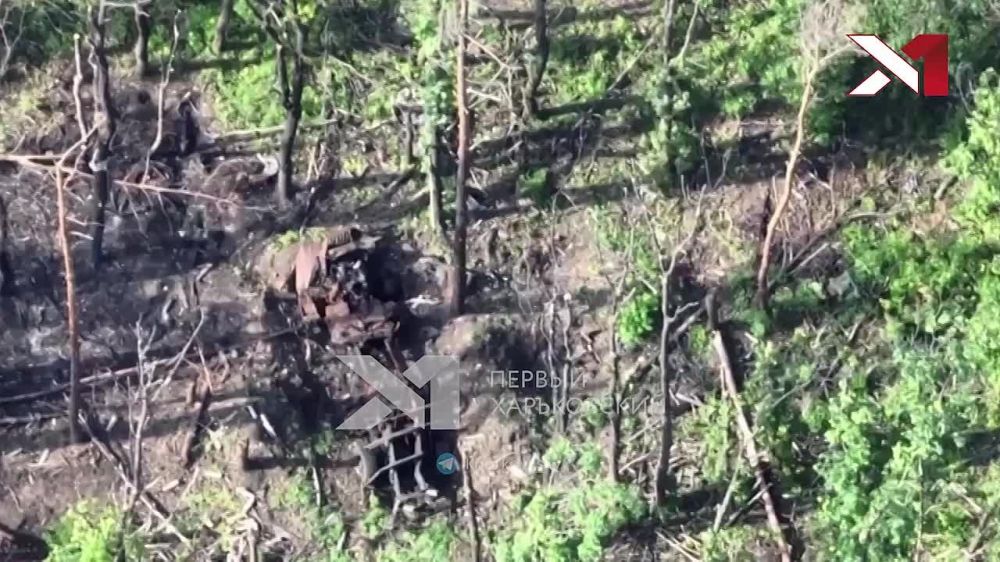 � ������������ ������� ������������ ��������� ����� ������ ����� ������� �� ����������� �����������