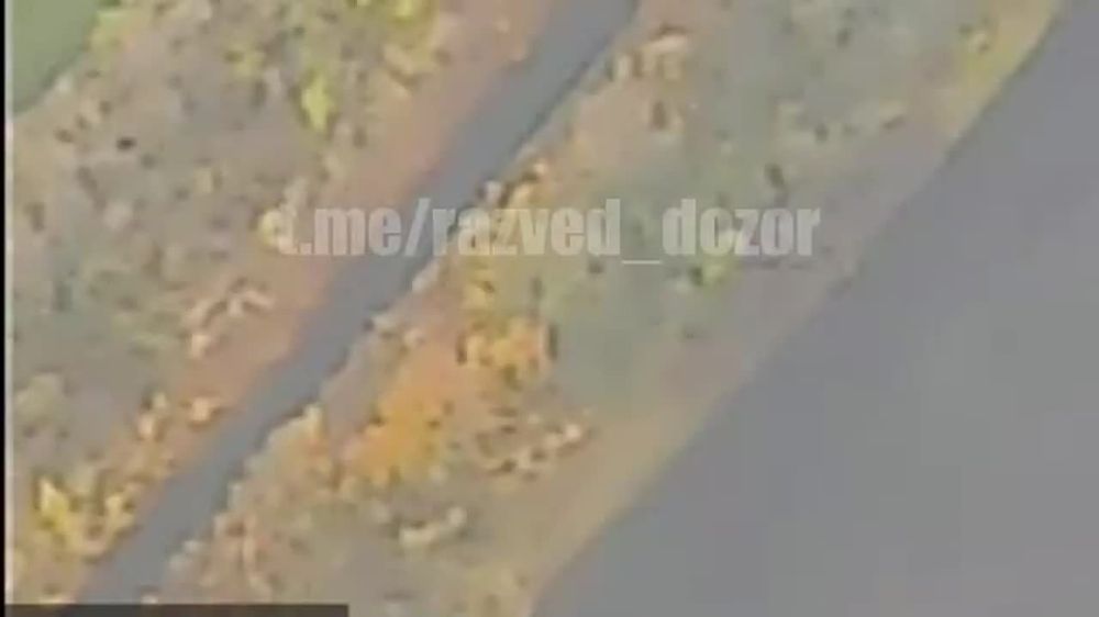 ���������� ������������� ��������� "������" �������� ���� ��� ��� ���������