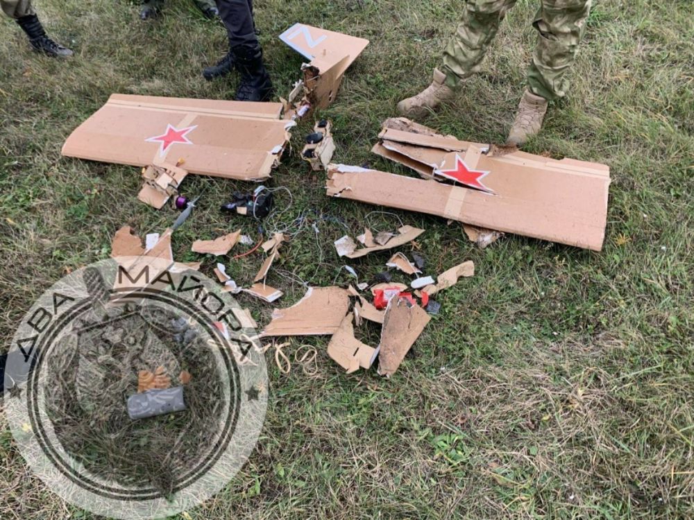 ����������� �����������