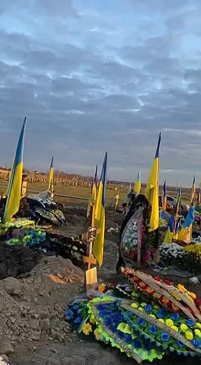 �����������.